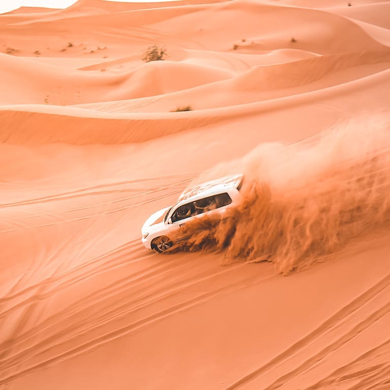 Desert Safari