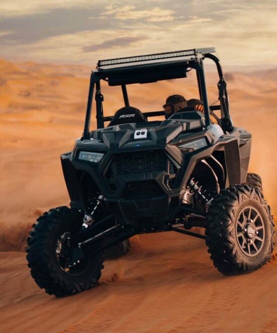 2 Seat Polaris Buggy Tour (1-hour)