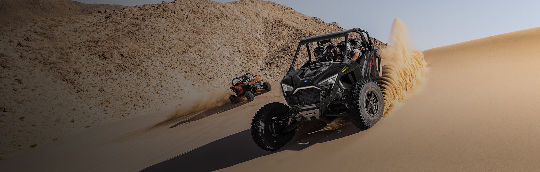 Desert Buggy Tour